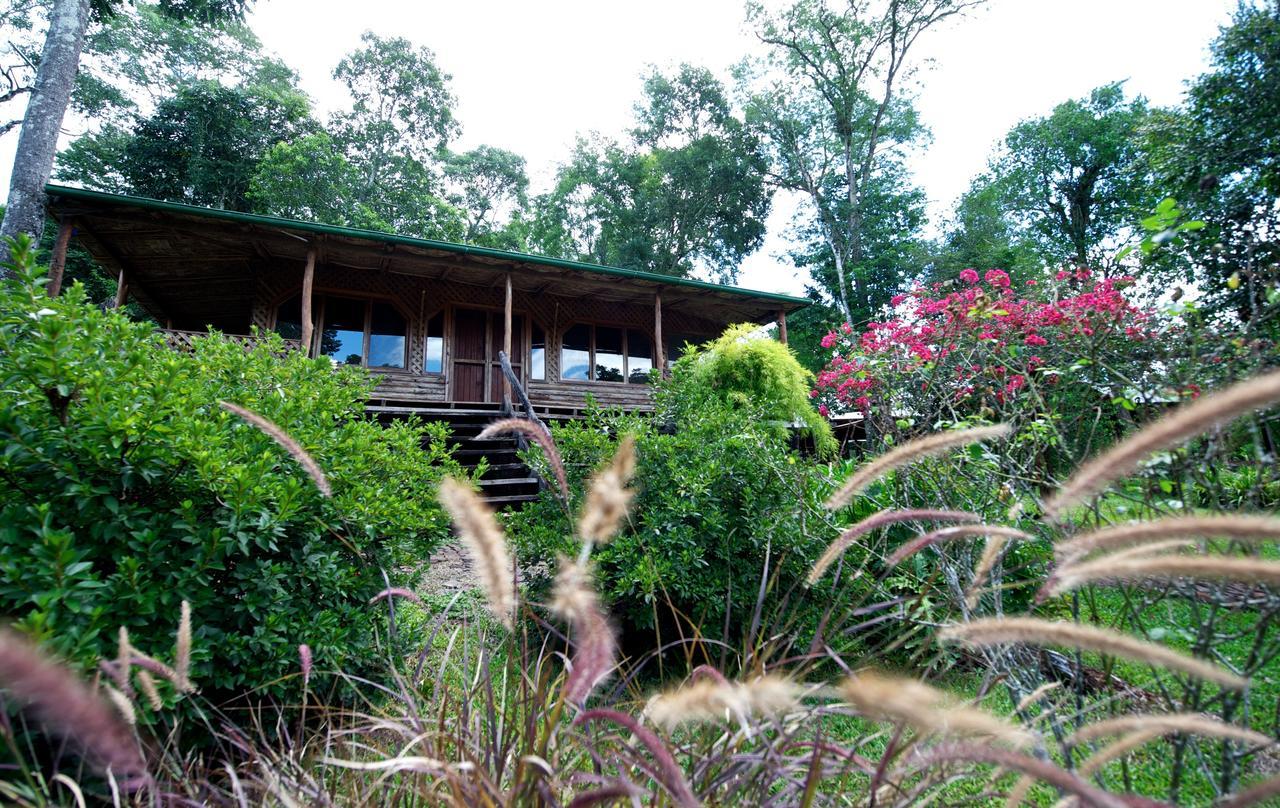 La Mision Mocona - Lodge De Selva Moconá Falls Room photo